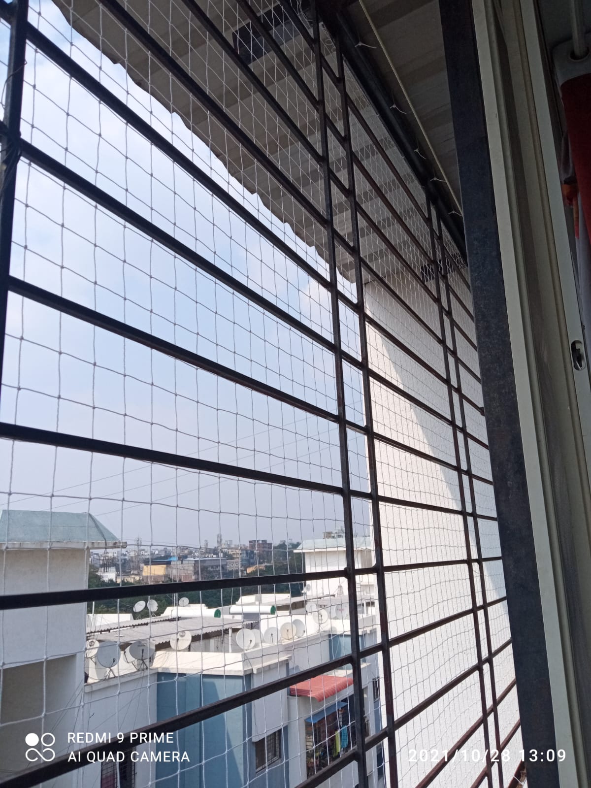 Pigeon net Pune